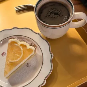 브론시스 사진