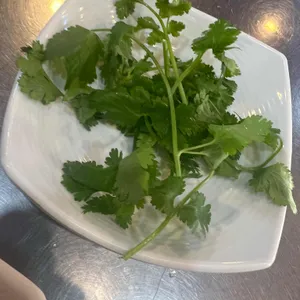 빅소이 사진