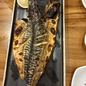 북극해고등어 사진