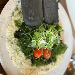 버치 사진
