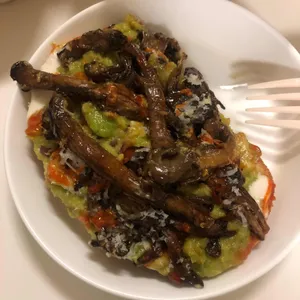 알라보 사진