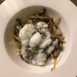 칭메이 사진
