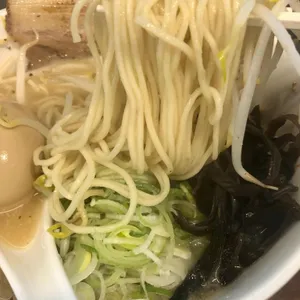 코지라멘 리뷰 사진