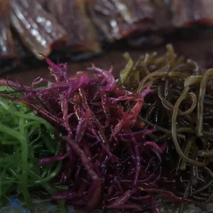 천안밀면 사진
