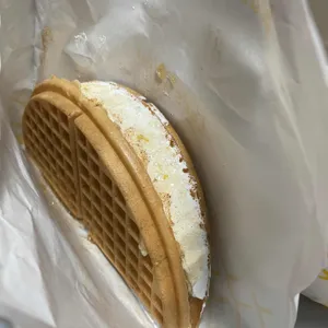 와플대학 사진