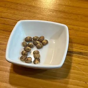 장단콩두부촌 사진