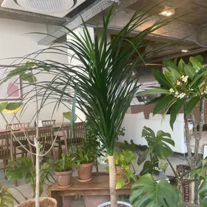 스틸머그 리뷰 사진