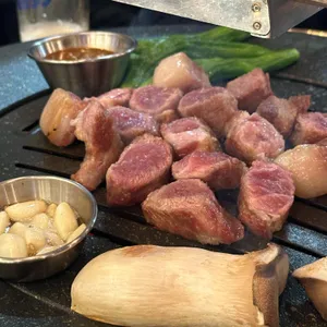 단풍 사진