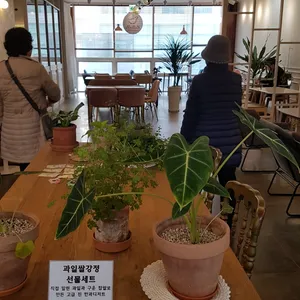 히비스 리뷰 사진