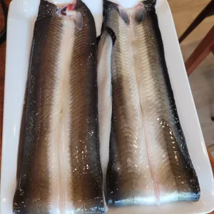 장어대가 사진