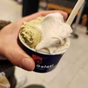젤라띠젤라띠 사진