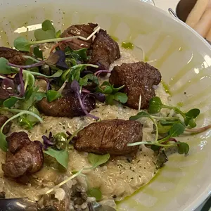 터틀크루 사진