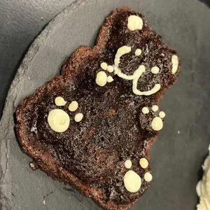 다크그림 리뷰 사진