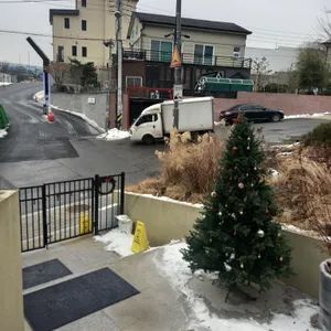 타볼라 펠리체 리뷰 사진