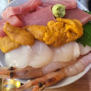 쵸쵸 사진