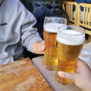 쵸쵸 사진