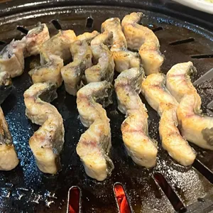 베풀장어 사진