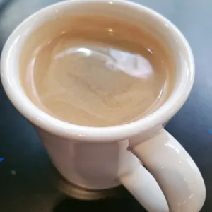 메그네이트 사진