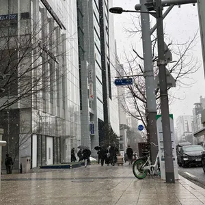 슬로우캘리 리뷰 사진