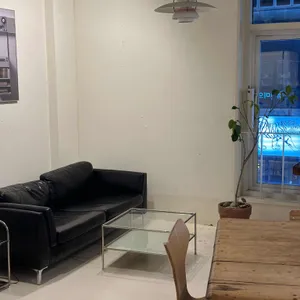 디아니 리뷰 사진