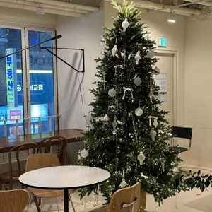 디아니 리뷰 사진