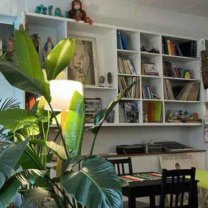 산호초 리뷰 사진