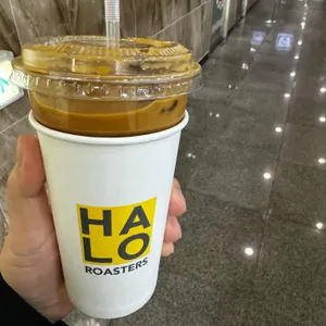 헤일로로스터스 사진