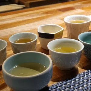 반구절점 사진