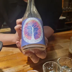 반구절점 사진