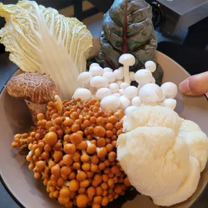 소담촌 사진