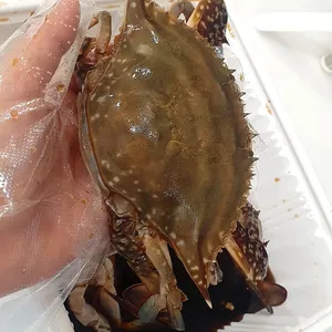 황금게장 사진