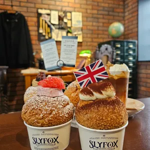 슬라이폭스 리뷰 사진