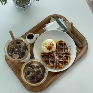 코리달리스 사진