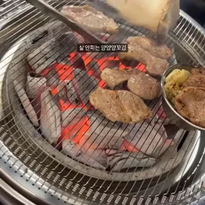 양도둑 사진