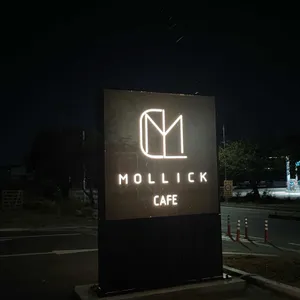 Mollick 리뷰 사진