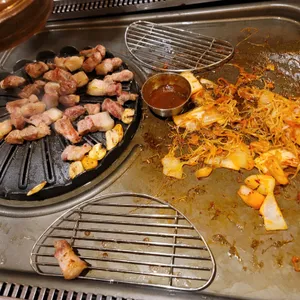 제주흑다돈 사진