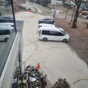 개울가에핀야생화 리뷰 사진