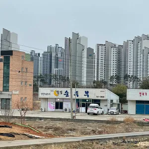 일오삼 달집 순두부 리뷰 사진