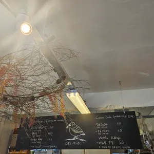 니와베이커리 리뷰 사진