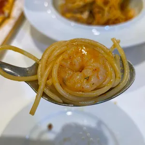 세컨디포레스트 사진