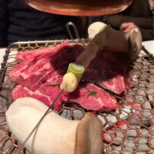 양스 사진