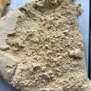 가람 베이커리 리뷰 사진