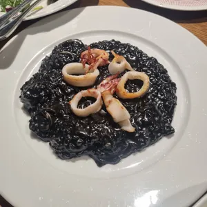 이비티 사진