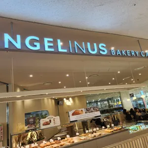 엔제리너스 리뷰 사진