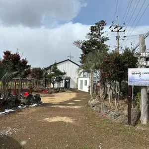 제주메밀이야기 리뷰 사진