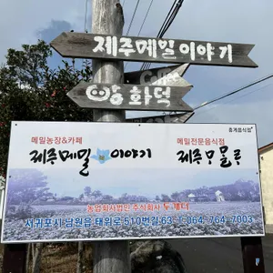 제주메밀이야기 리뷰 사진