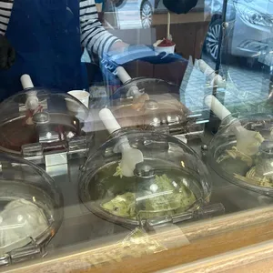 라또래요 사진