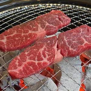 부드럽소 사진