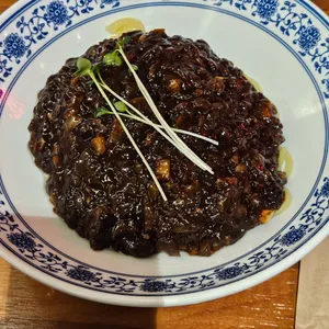 신차이 사진