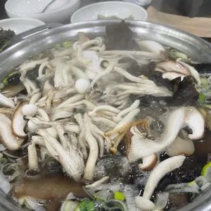 산들애 사진